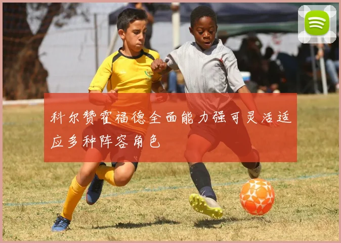 科尔赞霍福德全面能力强可灵活适应多种阵容角色
